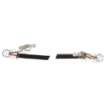 Picture of Carbon -2 Brush