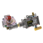 Picture of Valve & Regulatory Assembly