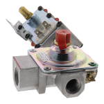 Picture of Valve & Regulatory Assembly