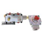Picture of Valve & Regulatory Assembly