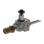 Picture of Burner Valve